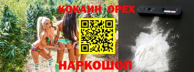 шишки Обь