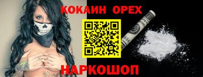 шишки Обь