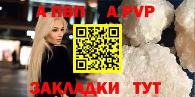 шишки Обь