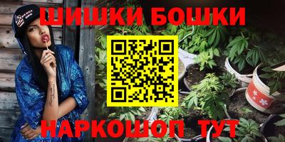 молекула духа Партизанск