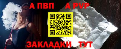 шишки Обь
