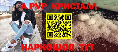 шишки Обь