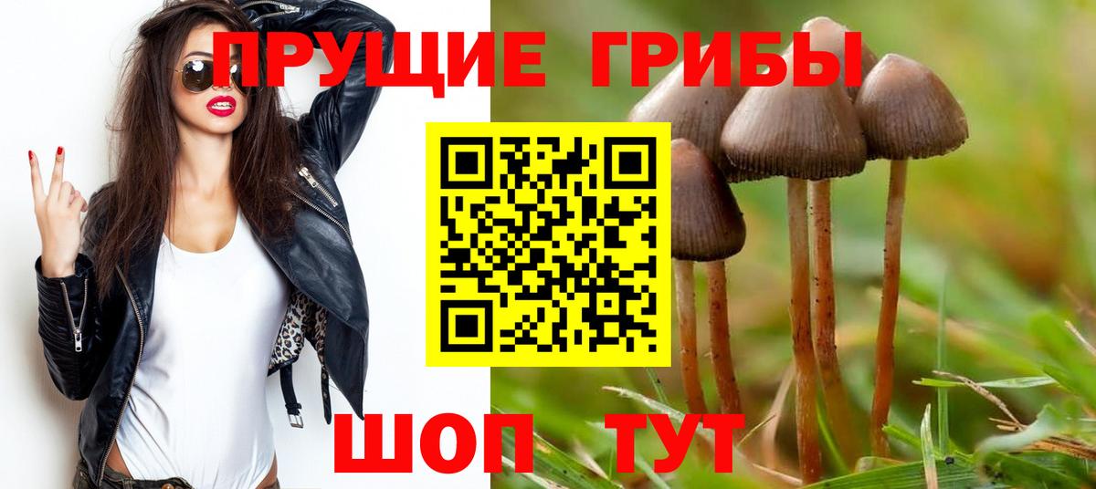 Галлюциногенные грибы мицелий  Псилоцибиновые грибы Magic Shrooms  Вход с VPN  Сочи 