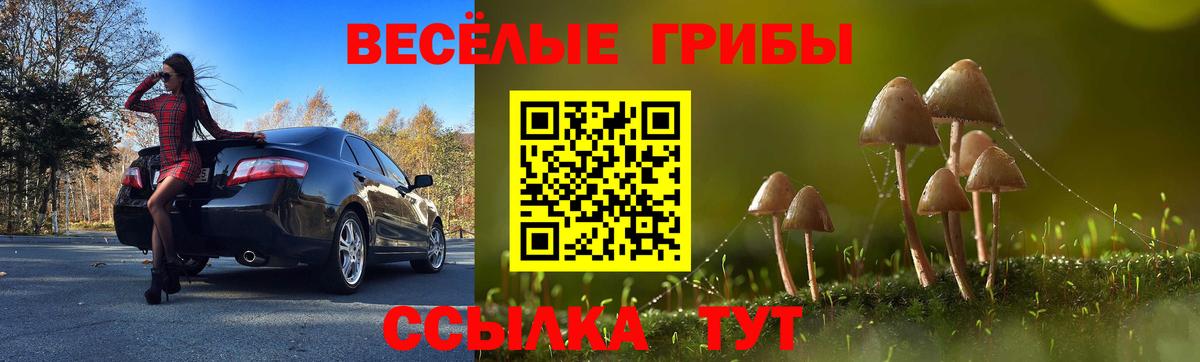 Псилоцибиновые грибы MAGIC MUSHROOMS Сочи